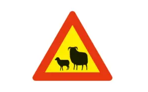 Animals Ahead