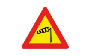 Extreme Wind Gusts